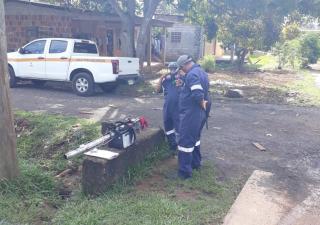 Panamá Oeste realiza operativo de fumigación