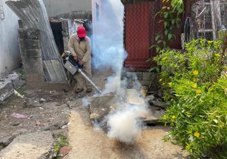 Combate frontal contra el dengue