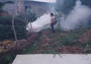 Elimina enfermedades como el dengue y únete a la campaña