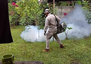 Se elevan casos de dengue en Chiriquí