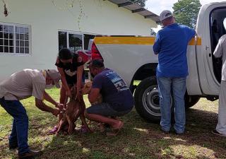 Realizan jornada de vacunación tras casos de rabia paralítica