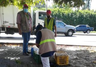 Coclé realiza operativo sorpresa 