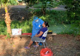 Búsqueda de casos en Teobroma, Finca # 30