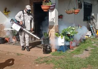 Casos de dengue en Chiriquí superan años anteriores