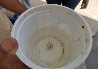 Herrera reporta 7 casos de dengue 