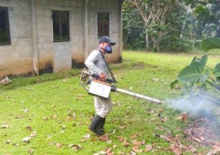 Minsa registra 480 casos por dengue; reiteran a la población eliminar criaderos de mosquitos