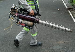 Equipos de vectores continúan con acciones para erradicar el dengue en Panamá Oeste 