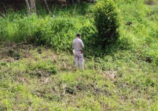 La basura, entre los factores de riesgo de hantavirus 
