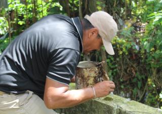 La prevención es la principal herramienta para combatir el dengue