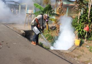 MINSA intensifica batalla contra el dengue