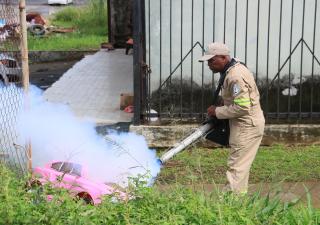  Eliminando los criaderos se acaba el dengue