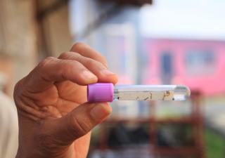 MINSA reitera llamado a la prevención contra el dengue
