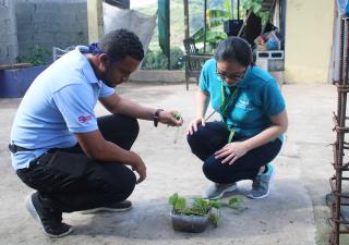 Constantes operativos contra el dengue en San Miguelito