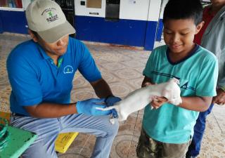 Jornada de atención a mascotas en Bocas del Toro.
