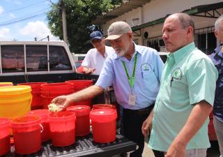 DEPA Veraguas realiza decomiso