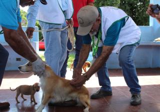 Jornada de Vacunación Antirrábica en Veraguas