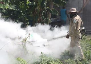 Elimina los criaderos y evita enfermedades como dengue, Zika y Chikungunya