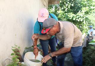 Minsa reitera a la población intensificar acciones para combatir el dengue y otras enfermedades