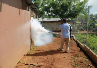 Mega Operativo contra el mosquito Aedes, en Las Garzas