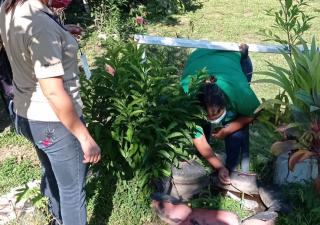 Los Santos registra bajos índices de enfermedades transmitidas por vectores 