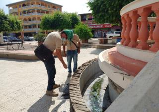 Los Santos mantiene bajo índice de infestación de mosquitos
