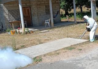 Los Santos registra 55 casos de dengue en 2023