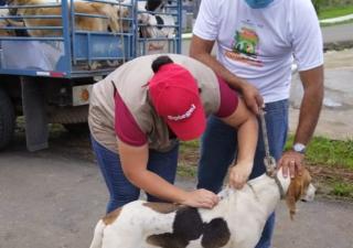 Minsa realizará feria amo mi mascota 2023 en Guararé