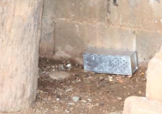 Mes de julio cerró con 5 nuevos casos de hantavirus en Los Santos 