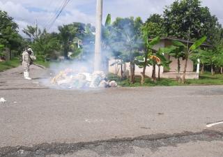 Realizan jornada de fumigación en Changuinola