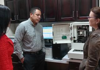 Siembra de pinos en los terrenos de la Región de Salud de la Comarca Ngäbe Buglé