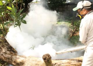 A la par del COVID-19 MINSA combate malaria