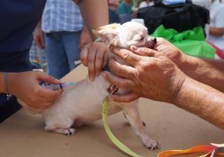 Equipos de enfermería participa en feria de salud