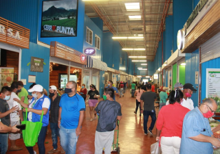 Entrega de mascarillas y verificación en MERCA Panamá