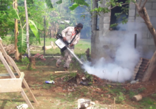 El dengue enfermedad mortal, que aumenta con las lluvias
