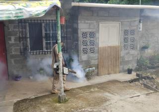 Salud continúa lucha contra el mosquito y recomienda no bajar la guardia