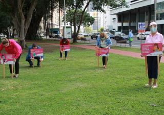 Siembra de habladores en parques municipales