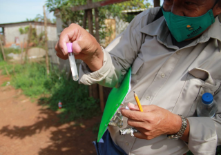 Región Metropolitana pendiente a estadísticas de dengue