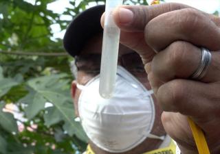 Mantienen la vigilancia epidemiológica y acciones ante casos por dengue 