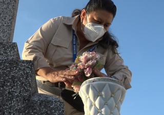 El Dengue se encuentra por debajo de la línea de seguridad informó Cedeño 