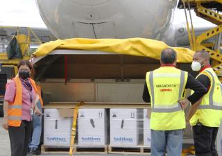 Llega a Panamá 70,200 nuevas dosis de vacuna contra la COVID-19  