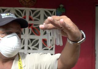 Epidemiología regional reporta que el dengue se mantiene bajo la línea de seguridad 