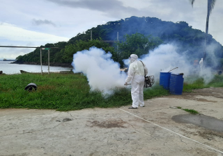 Estadísticas no reportan defunciones por dengue en Región metropolitana