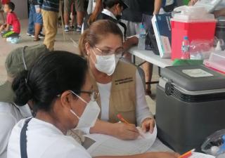 La inoculación clave para evitar las muertes por influenza