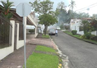 No bajar la guardia, ante el dengue y otras enfermedades ocasionadas por vectores 