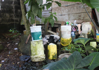 San Miguelito alerta contra el dengue.