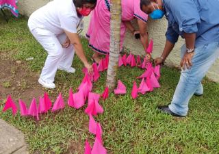 La Región de Salud de la Comarca Ngäbe-Buglé celebró la siembra de banderas rosadas en el mes de la campaña contra la lucha del cáncer de mamá.