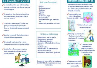Encefalitis Viral