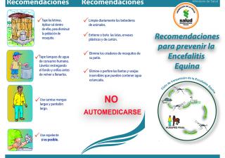 Recomendaciones para prevenir la Encefalitis Equina