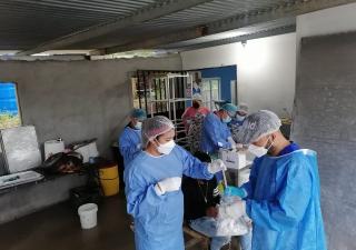 Realizaron hisopados en comercios en Chepo y Tortí 