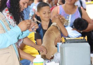 Jornada de vacunación antirrábica en Panamá Este